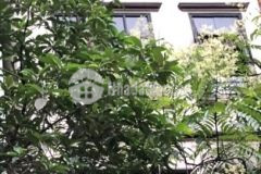 Giảm giá mạnh để bán nhà mặt phố bạch mai,tiện làm showroom hàng hiệu,mt 4m, dt 68m2