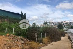 D963 cần bán lô đất xây dựng hẻm ô tô võ trường toản phường 8 tp đà lạt.