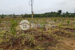 Bán đất vườn mít xã hưng thịnh, trảng bom. đồng nai