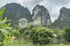 Bán 2800m đất view núi tuyệt đẹp giá rẻ mùa covid tại lương sơn, hòa bình