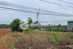 Bán đất mặt tiền tỉnh lộ 8 đối diện khu công nghiệp tân an