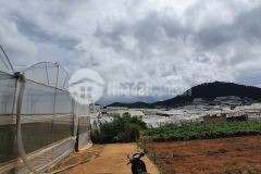 827m2 đất lớn ngay trung tâm thái phiên khu vực dân cư đông