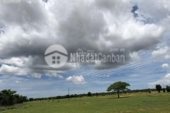 6396m2 đất hồng thái siêu đẹp giá đầu tư lh 0919626750