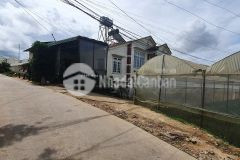 Cần bán nền đất giá rẻ view đẹp, bằng phẳng đường dể đi, phường 11, đà lạt diện tích 66m2 4x16 lộ