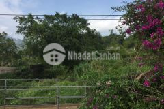 Bán mảnh đất khu nghỉ dưỡng du lịch mộc châu,sinh lợi nhuận cao