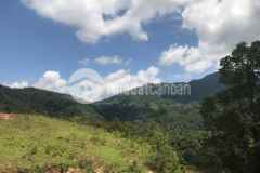 Bán 40ha đất rừng sản xuất tại cao phong hòa bình.