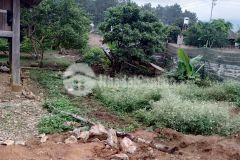 182m2 đất mặt đường chính rừng thông bản áng bán giá rẻ như bèo