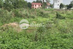 Siêu hiếm phân lô bán nền tân lậpthái nguyên4800m2sổ đỏ chính chủ2trm2