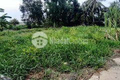 Bán đất bình phước giá rẻ đất bao đẹp 1000m2 chỉ có 440 triệu