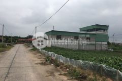 Bán gọn 81m2, khu đấu giá đình tổ, thuận thành. đường 13m, giá đầu tư.