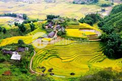 Bán mảnh đất mặt đường tl 158 y tý bát xát lào cai mảnh đất siêu lợi nhuận