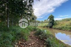 Đất sào bình long 2250m2440tr sổ sẵn dân cư bao quanh đông đúc