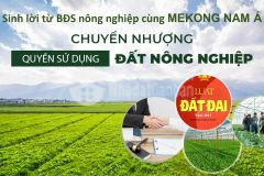 Bán đất xã hàm thuận nam, bình thuận. dt 4100m2, 300m2 thổ cư, mặt tiền sông cà ty.
