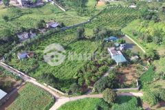 Bán đất kim bôi hòa bình dt 3200m2 có 400 đất ở