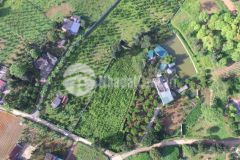 Bán 3200m có 400m thổ cư tại vĩnh tiến, kim bôi giá đầu tư mùa covid