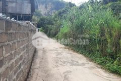 Bán mảnh đất nghỉ dưỡng du lịch mộc châu giá siêu mềm