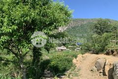 Bán mảnh đất duy nhất còn sót lại tại trung tâm y tý, giá vô cùng hấp dẫn. lh 0933.56.1998