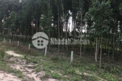 Bán đất triệu ái, triệu phong quảng trị