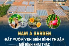 Đất ven biển bình thuận, sổ hồng riêng, gần sân bay phan thiết giá 1.6 trm2