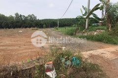 Bán đất vườn xoài 2 mặt tiền đường nagoa