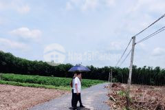 Bán đất tây ninh chính chủ có sổ hồng, giá cực tốt