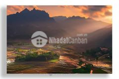 Giá rẻ bất ngờ sín chải, xã y tý, huyện bát xát