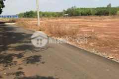 Đất đối diện kcn becamex shr công chứng ngay. lh0393971049.