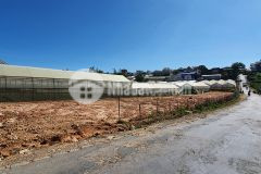 Mặt tiền đường nhựa đất xây biệt thự diện tích rộng 545m2 phường 8