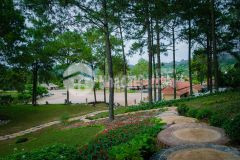 Siêu phẩm đất thổ cư ở mộc châu bán giá rẻ bất ngờ