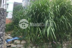 D968 cần bán đất xây dựng hẻm ô tô ngô thì nhậm phường 4 tp đà lạt.