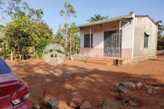 Bán gấp 300m2 đất tt xã ea drong, dak lak, shr chỉ 430tr. lh0368670662