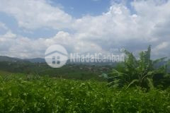 1 tỷsào đất nông nghiệp siêu đẹp mê linh, lâm hà