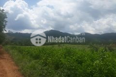 6241m2 mặt tiền rộng gần 100m2 giá 1 tỷ xào