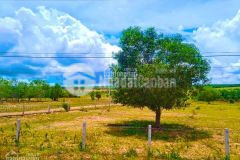 Tôi cần bán 6 xào đất ven biển giá chỉ 501 triệu. bao hết thuế phí. liên hệ