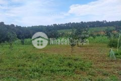 Bán đất lạc thủy hào bình dt 1850m2 bám suối