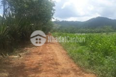 Cần bán hơn 6000m2 đất có thể chuyển được 70 sang thổ cư, đất vuông vức, bằng phẵng. mê linh, lâm h