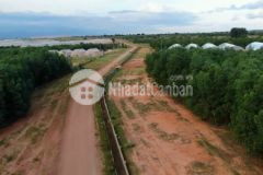 Bán nhanh lô đất mặt tiền mương nước xã hồng thái shr