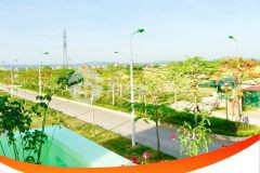 Đất nền bệnh viện quốc tế sao mai