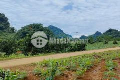 Bán đất kim bôi hòa bình dt 2900m2 full đất ở