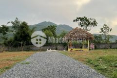 Bán 1000m đất nghỉ dưỡng tại cư yên lương sơn