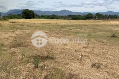 Bán 10,355m2 đất nông nghiệp bình thuận gần liên huyện và kênh nước chỉ 932tr lh 0938677909 hiền