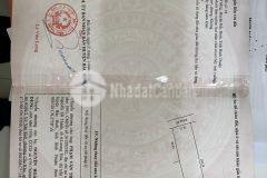 Chủ cần tiền kinh doanh bán gấp 1.5 ha hòa thắng giá 1.76 tỷ, đường rộng 8m, quy hoạch cây lâu năm