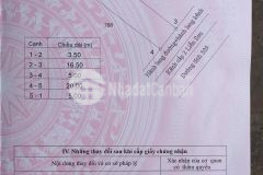 Bán đất phân lô trúng đấu giá mặt đường tl309 địa phận an hòa tam dương