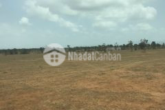 Đất thị trấn chợ lầu cách biển chỉ 4km 120.000m2 bao vat