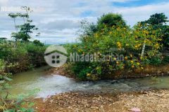 Đất vườn biệt thự bình long bình phước 175tr1000m2 view sông suối