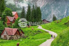 Bán mảnh đất tt y tý view vô cùng đẹp,giá chỉ vài trăm triệu