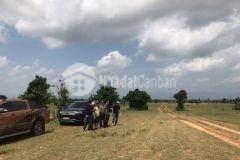 7000m2 đất hòa thắng, đường xe hơi vô tận đất,gần ngay dt716, liên hệ 0901.078.257