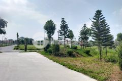 Đất phúc thành 3 mỹ hào đầu tư an toàn mùa dịch