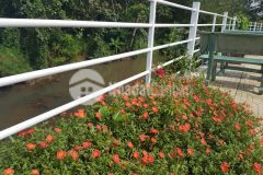 Chủ nợ dí quá nên bán lô đất để trả nợ đất cạnh kcn dầu giây cẩm mỹ thống nhất, đồng nai.