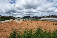 Chính chủ gởi bán 2000m2 đất 2 mặt tiền xuân thọ, khu vực chuyển đổi được thổ cư